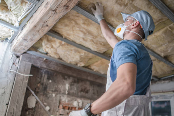 Best Wall Insulation Contractor  in Brinckerhoff, NY