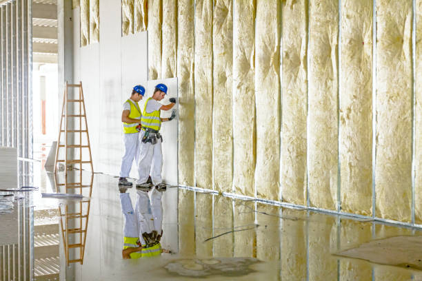 Best Insulation Removal Services  in Brinckerhoff, NY